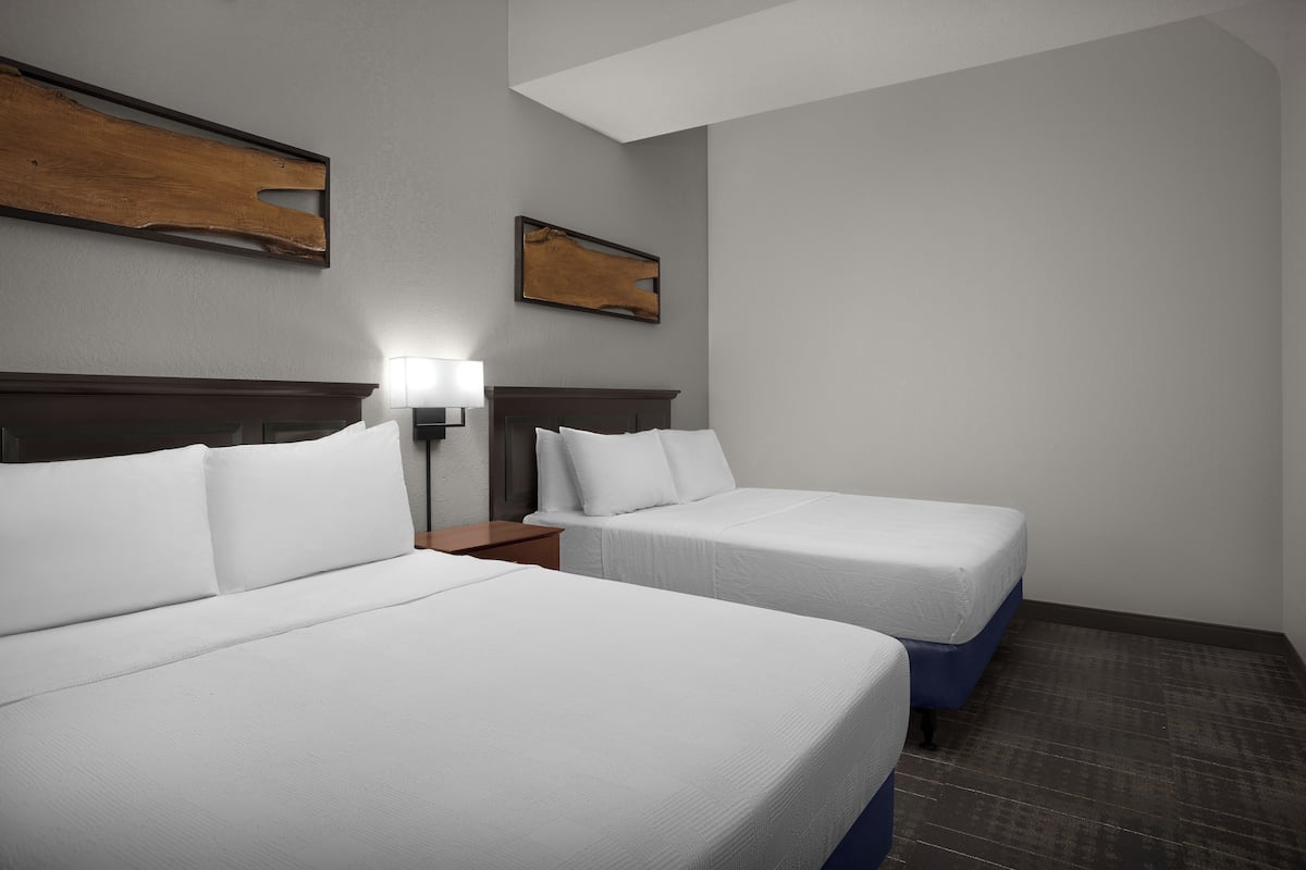 Studio Suite, 2 Double Beds