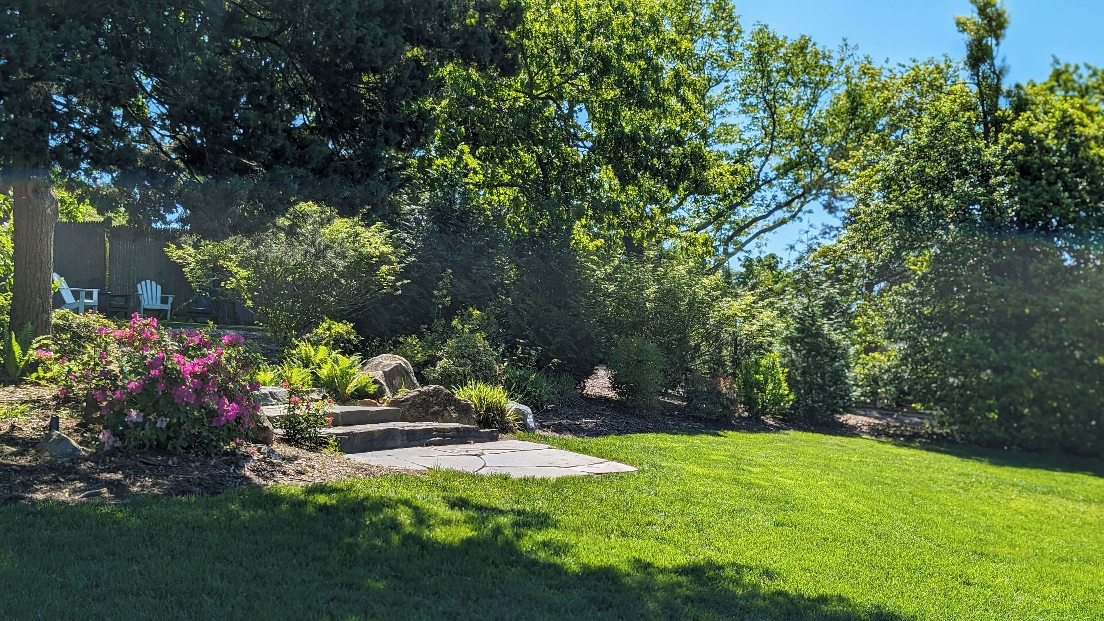 Un patio trasero bien cuidado con césped, un sendero de piedra y diversas plantas y arbustos.