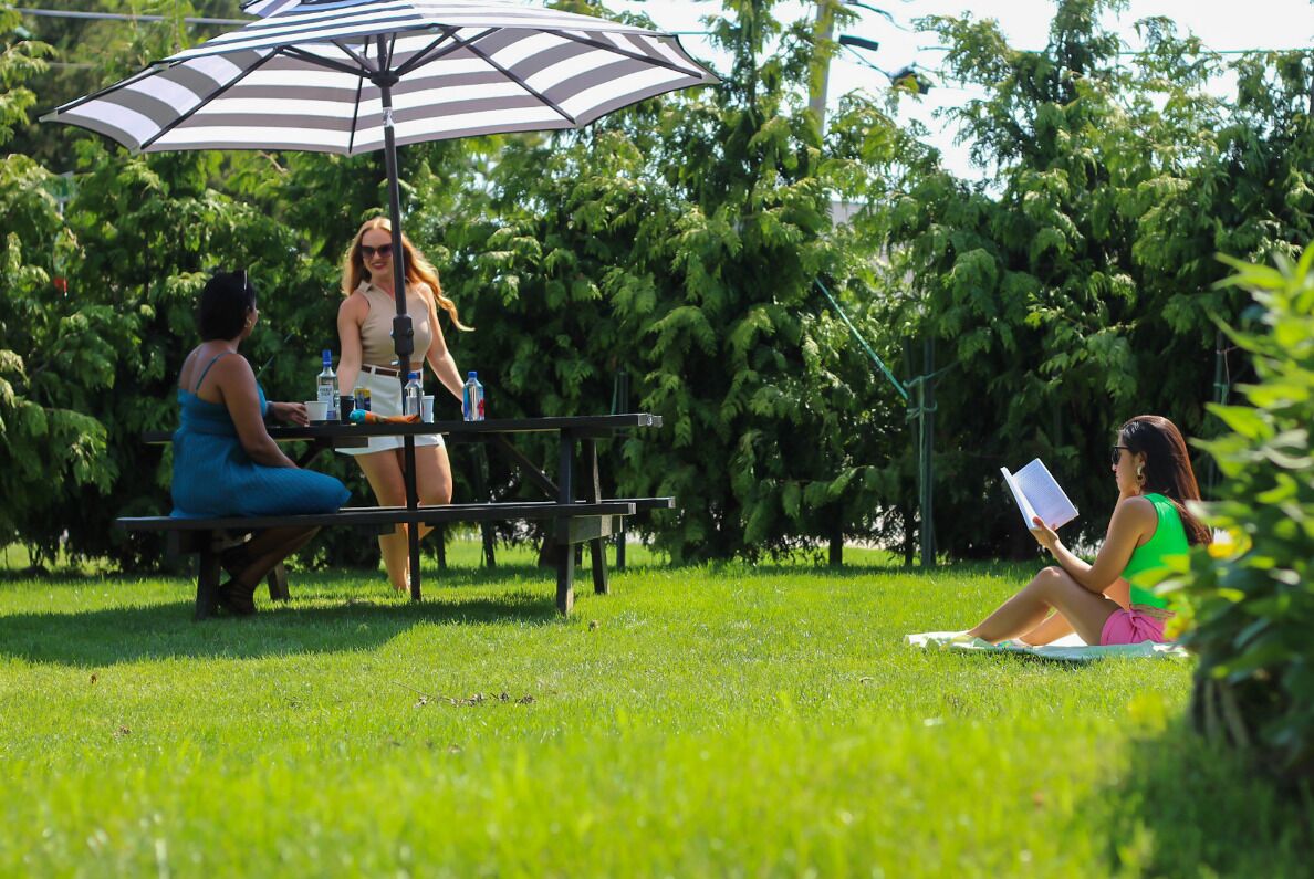 A park setting with a picnic table under a striped umbrella, surrounded by lush greenery.