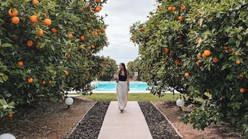 Outdoor pool, open 8 AM to 8 PM, pool umbrellas, pool loungers