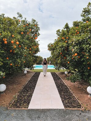 Außenpool, geöffnet von 08:00 Uhr bis 20:00 Uhr, Sonnenschirme