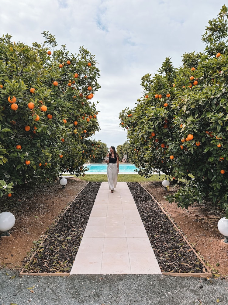 Quinta dos Perfumes by null