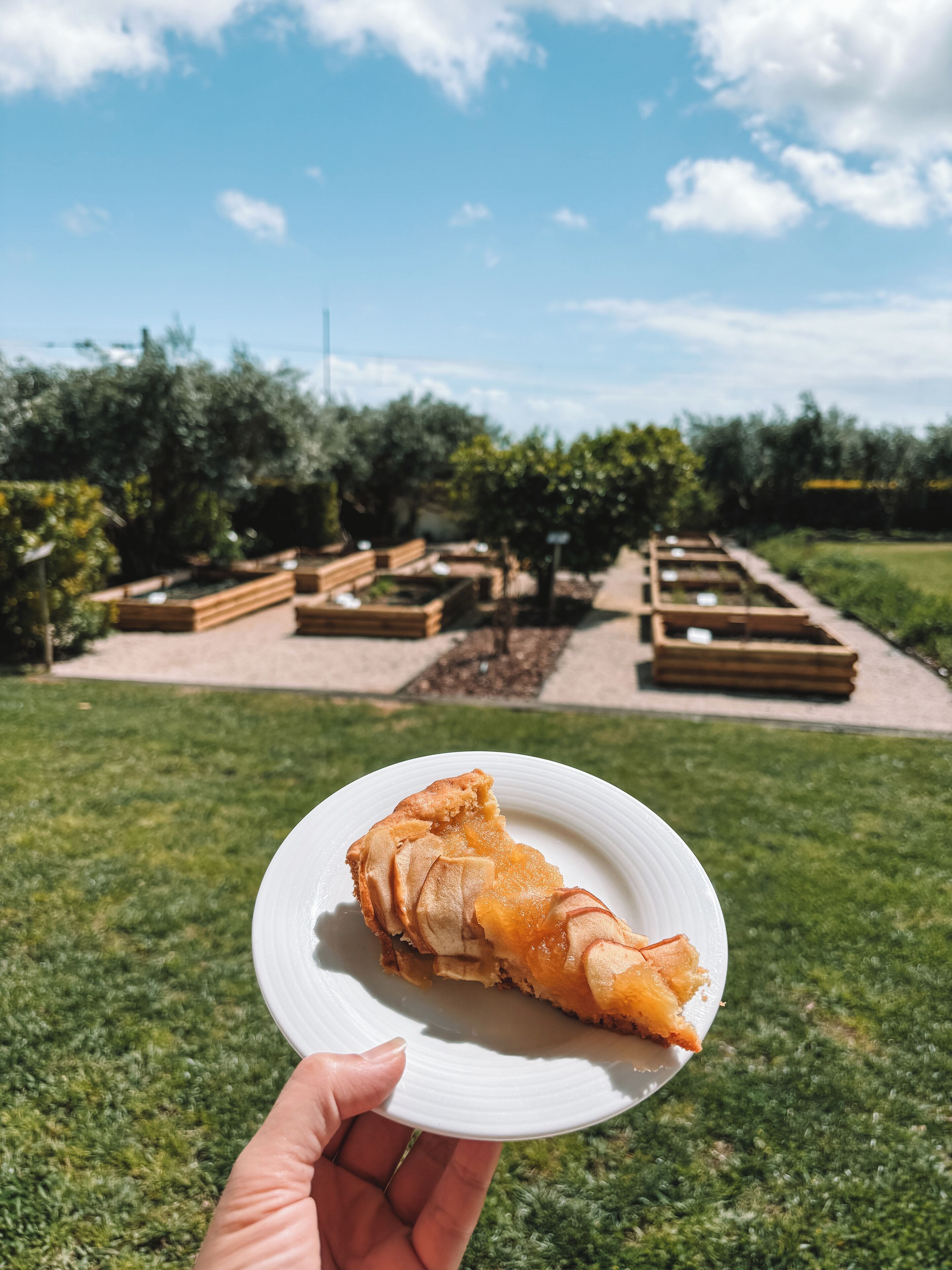 Una mano che regge un piatto con una fetta di torta, con sullo sfondo un giardino curato e un cielo sereno.