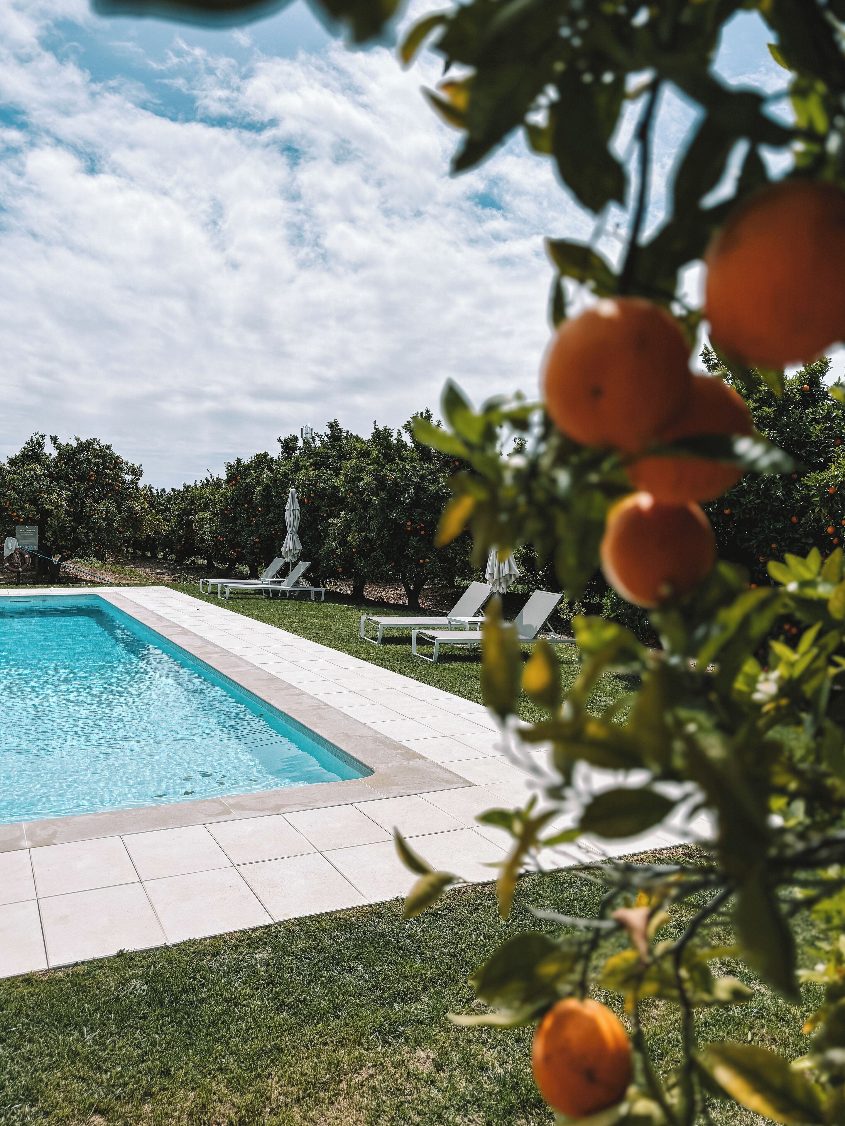 Foto - Quinta Dos Perfumes