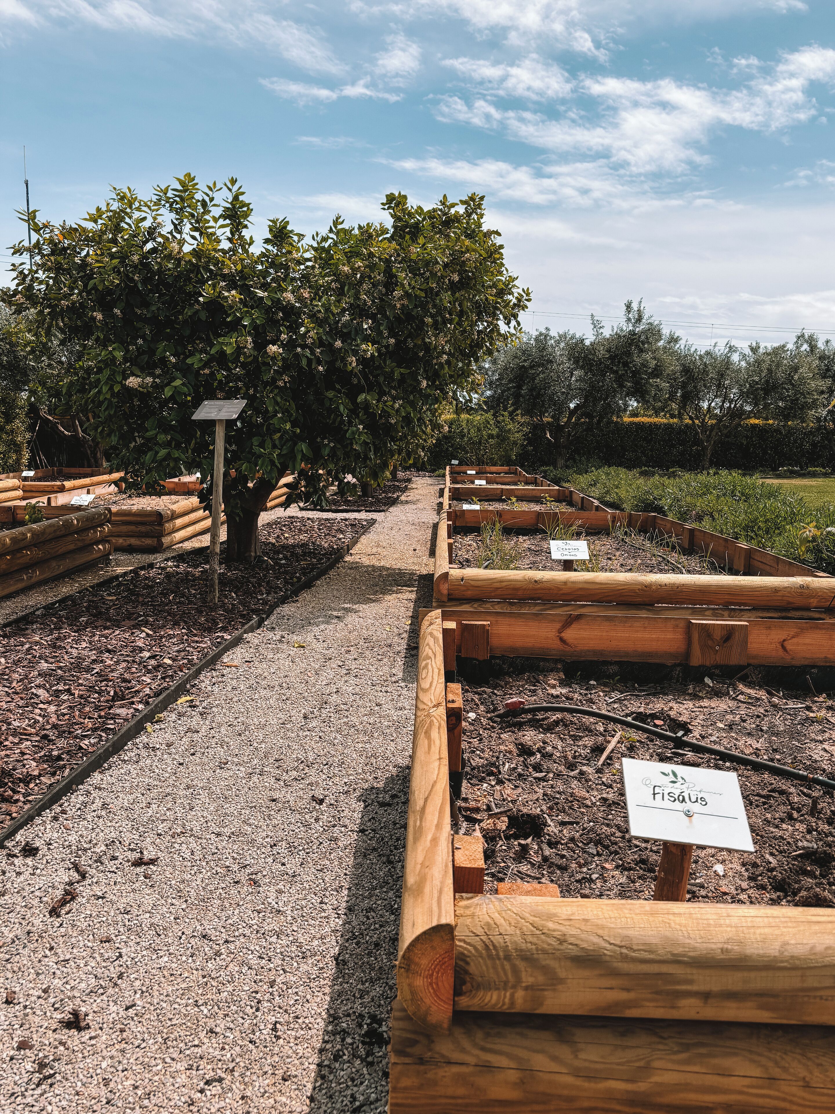 Foto - Quinta Dos Perfumes