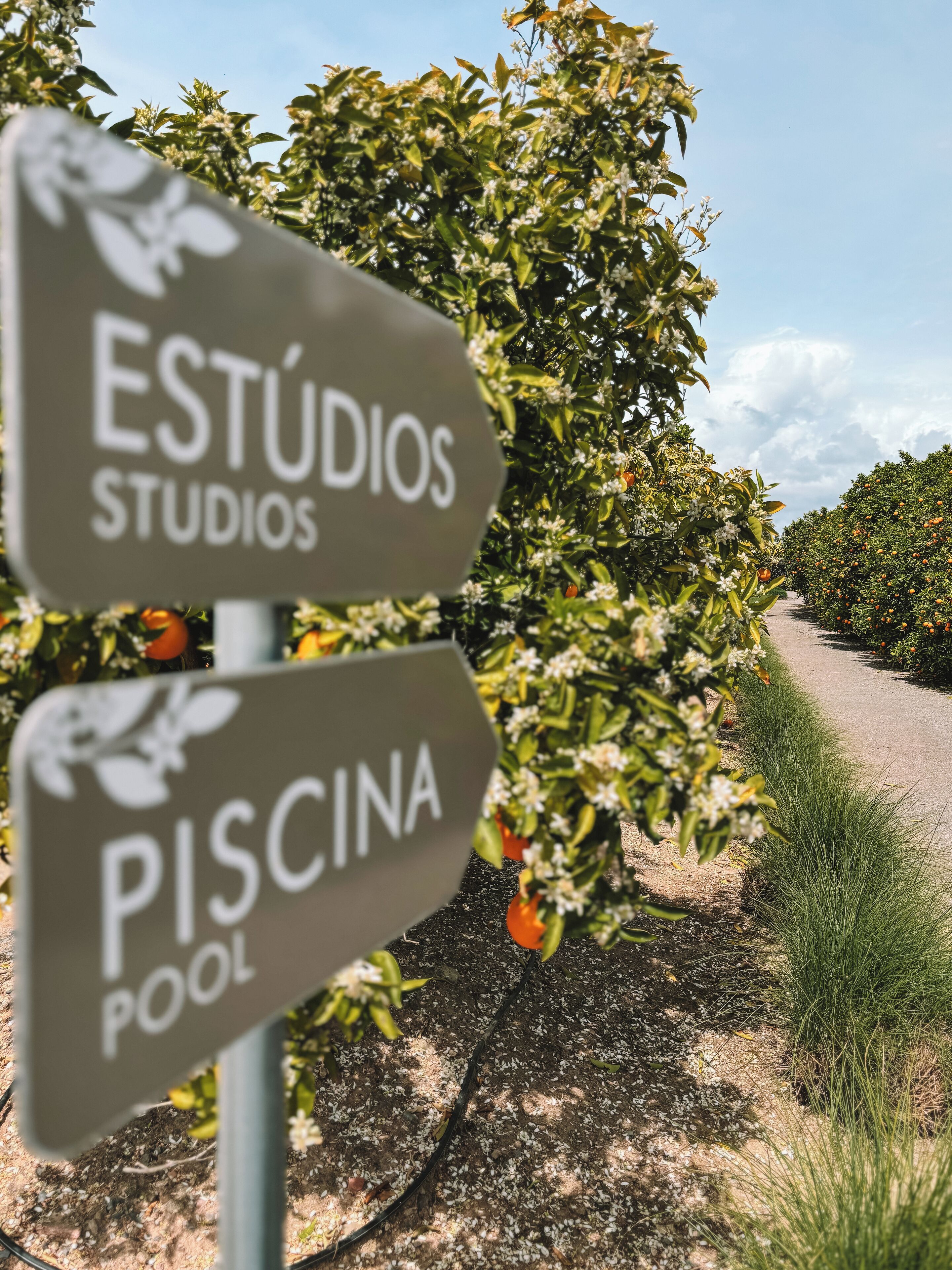 Foto - Quinta Dos Perfumes