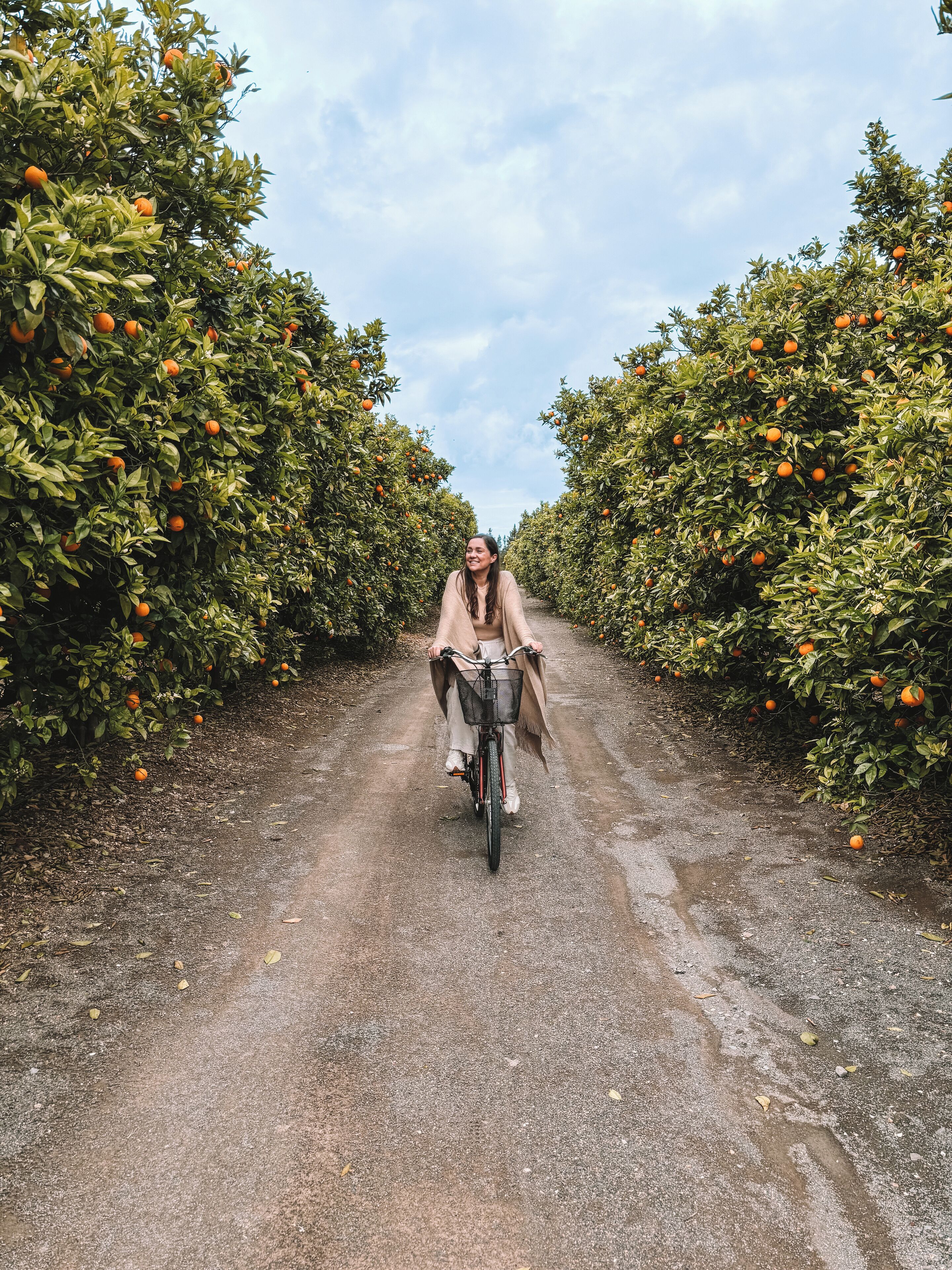 Foto - Quinta Dos Perfumes