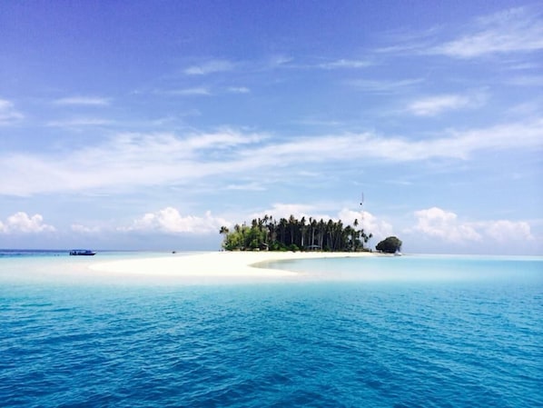 Motor boating - Scuba Tiger Semporna Holiday Resort (Semporna)