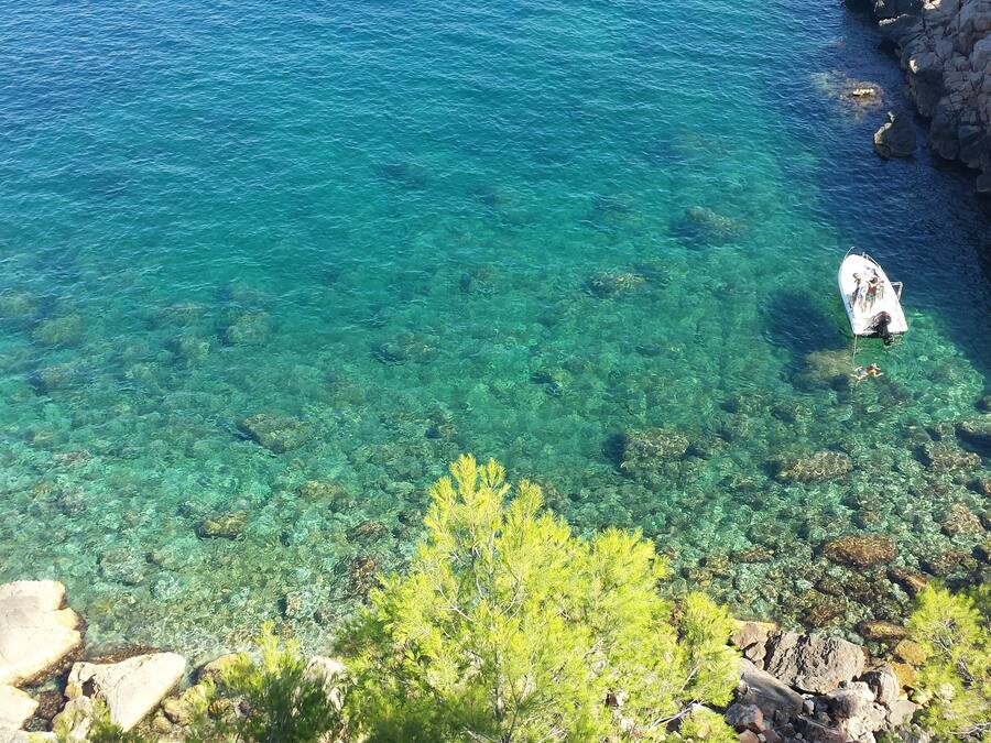 Vista costera con agua cristalina, costa rocosa y vegetación verde.