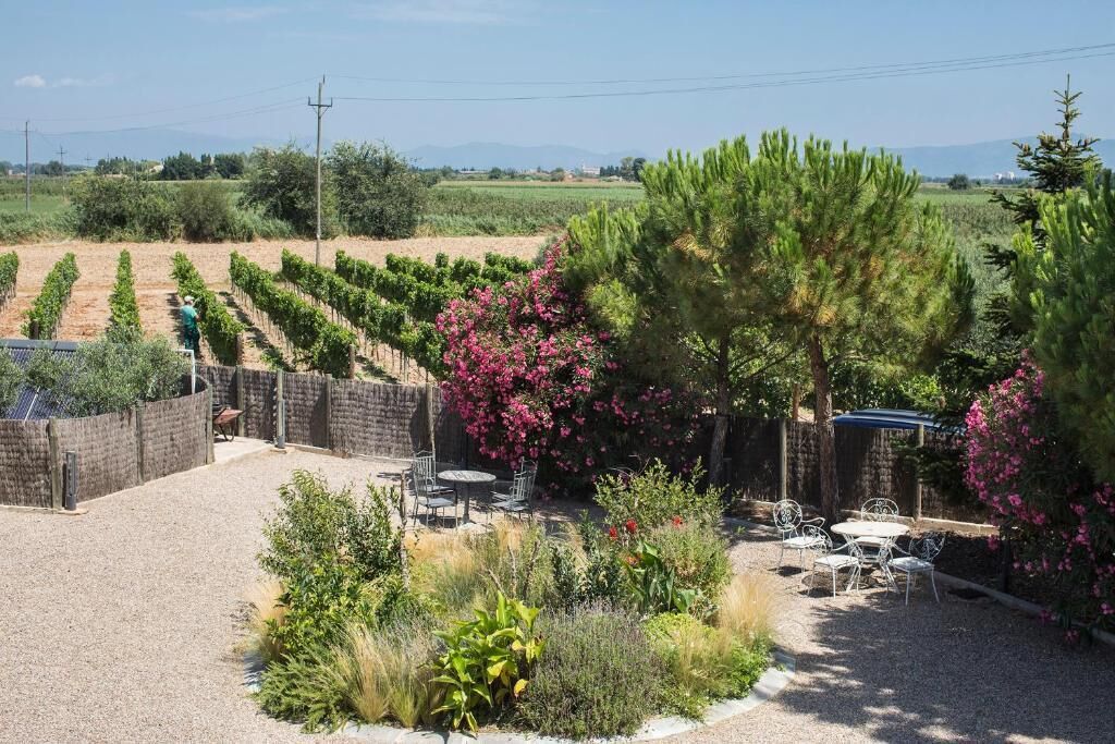 superior room, balcony | garden