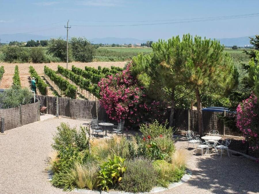 Un viñedo con hileras de parras, un patio con mesas al aire libre y una variedad de plantas en flor.