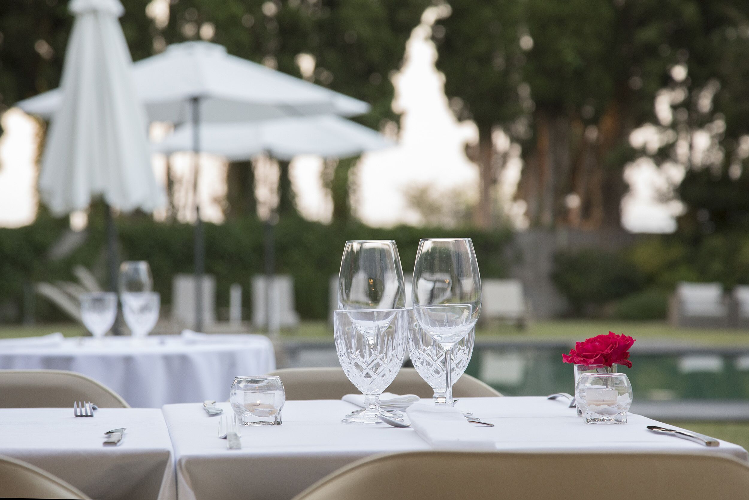 Mediterranean cuisine