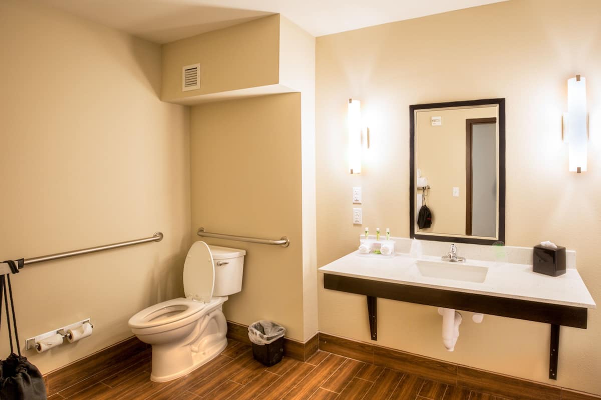 A hotel bathroom with a toilet, sink, mirror, and handrails.