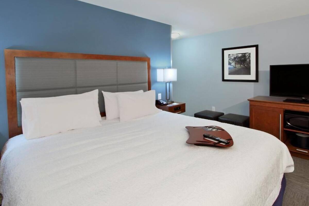 A hotel room with a large bed, a television, a lamp, and a framed picture on the wall.