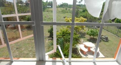 J&G's Tropical Apartments