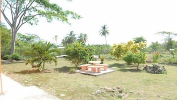 Vườn