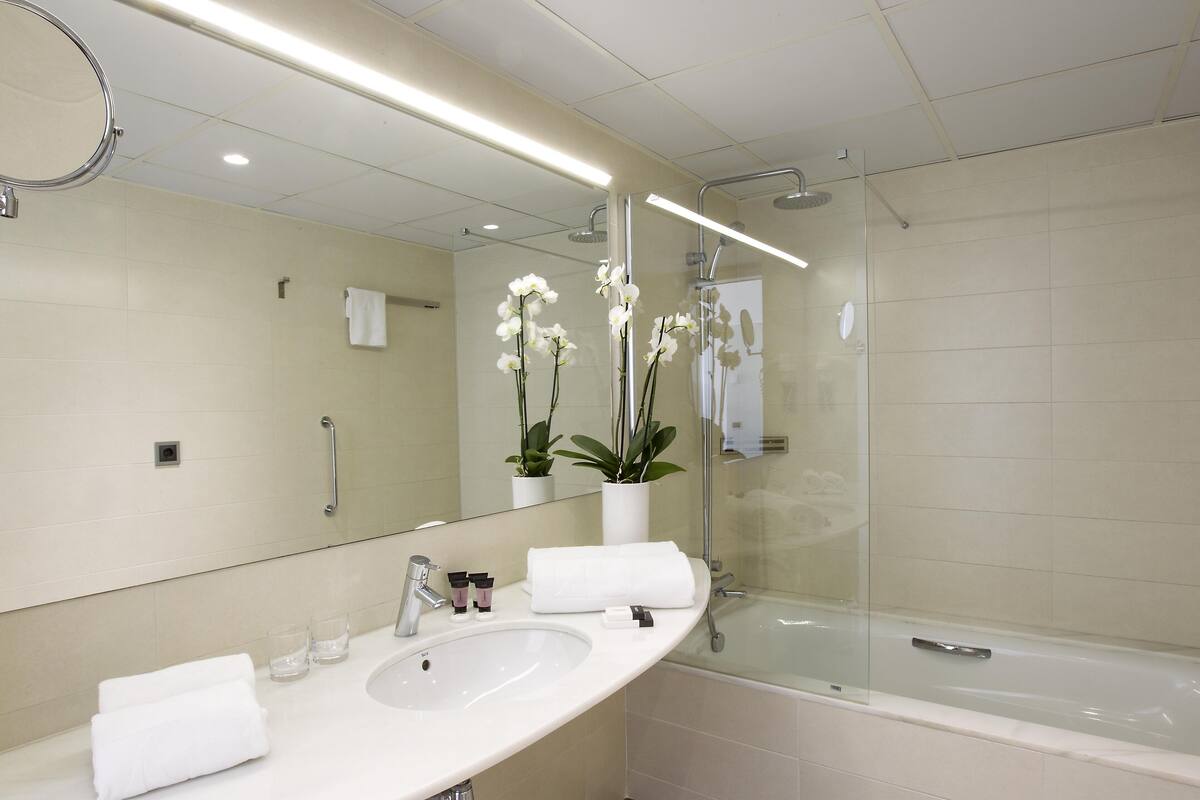 shower, free toiletries, hair dryer, towels