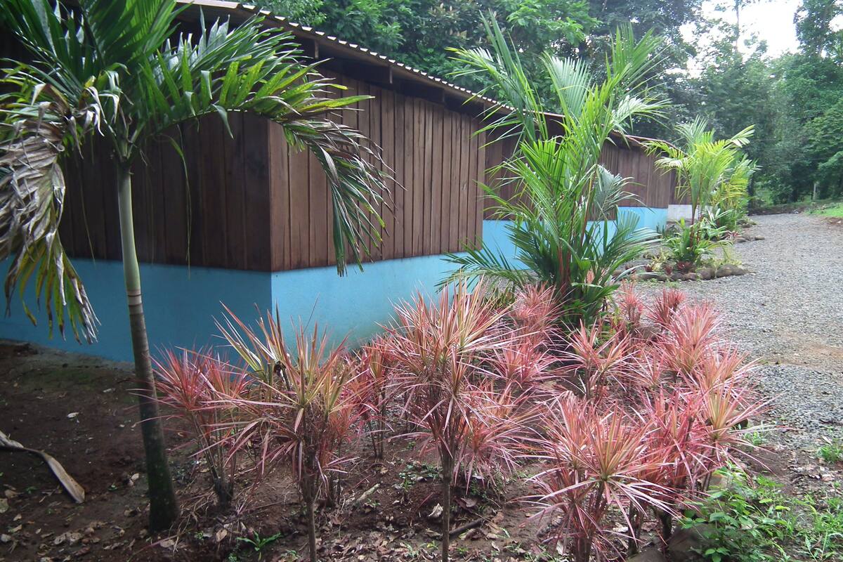 Double Room, 1 Double Bed, Balcony | Premium bedding, down comforters, pillowtop beds, free WiFi