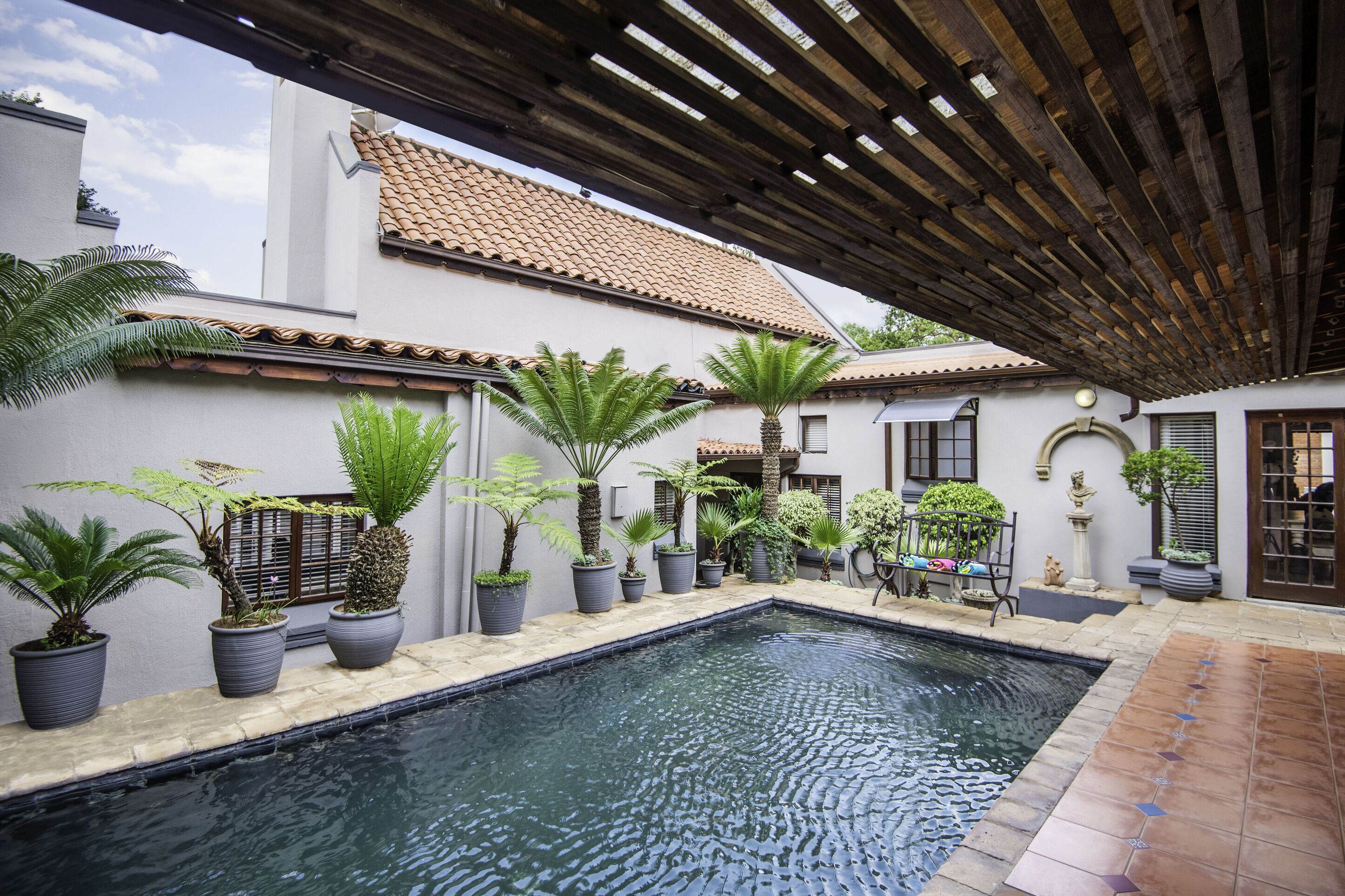 Outdoor pool, pool loungers