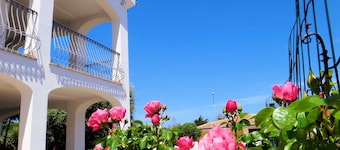 Hotel Tartaruga Bianca