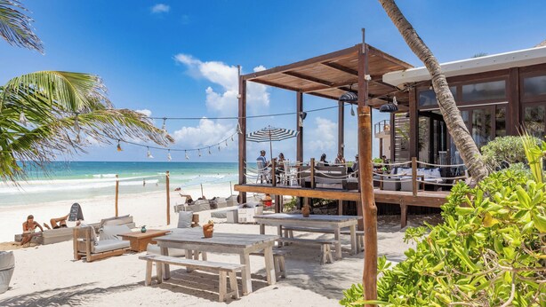 Un restaurant situé en bord de mer, avec une terrasse, des palmiers et une vue sur l’océan.