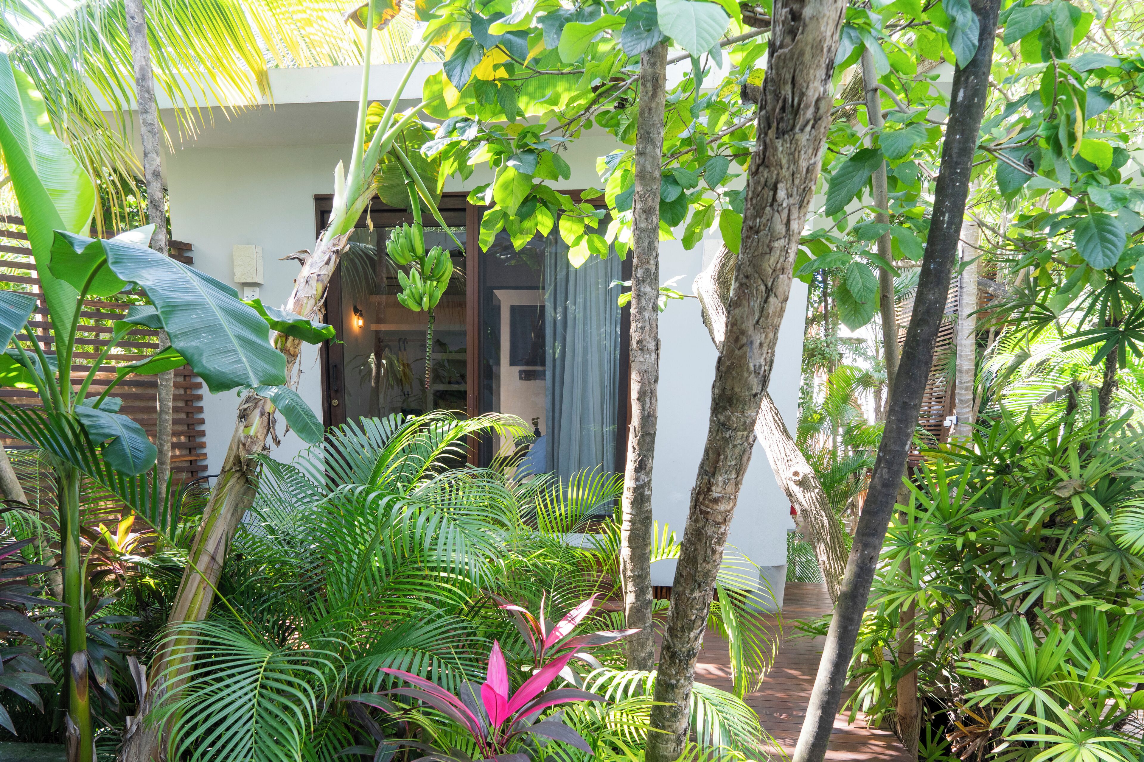 jungle pool room | 1 bedroom, frette italian sheets, premium bedding, pillow-top beds