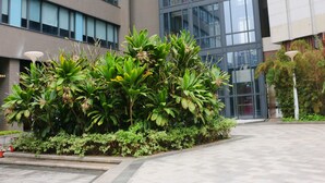 A modern building with large windows and a landscaped area with various plants. - Aloft Guangzhou University Park (Guangzhou)