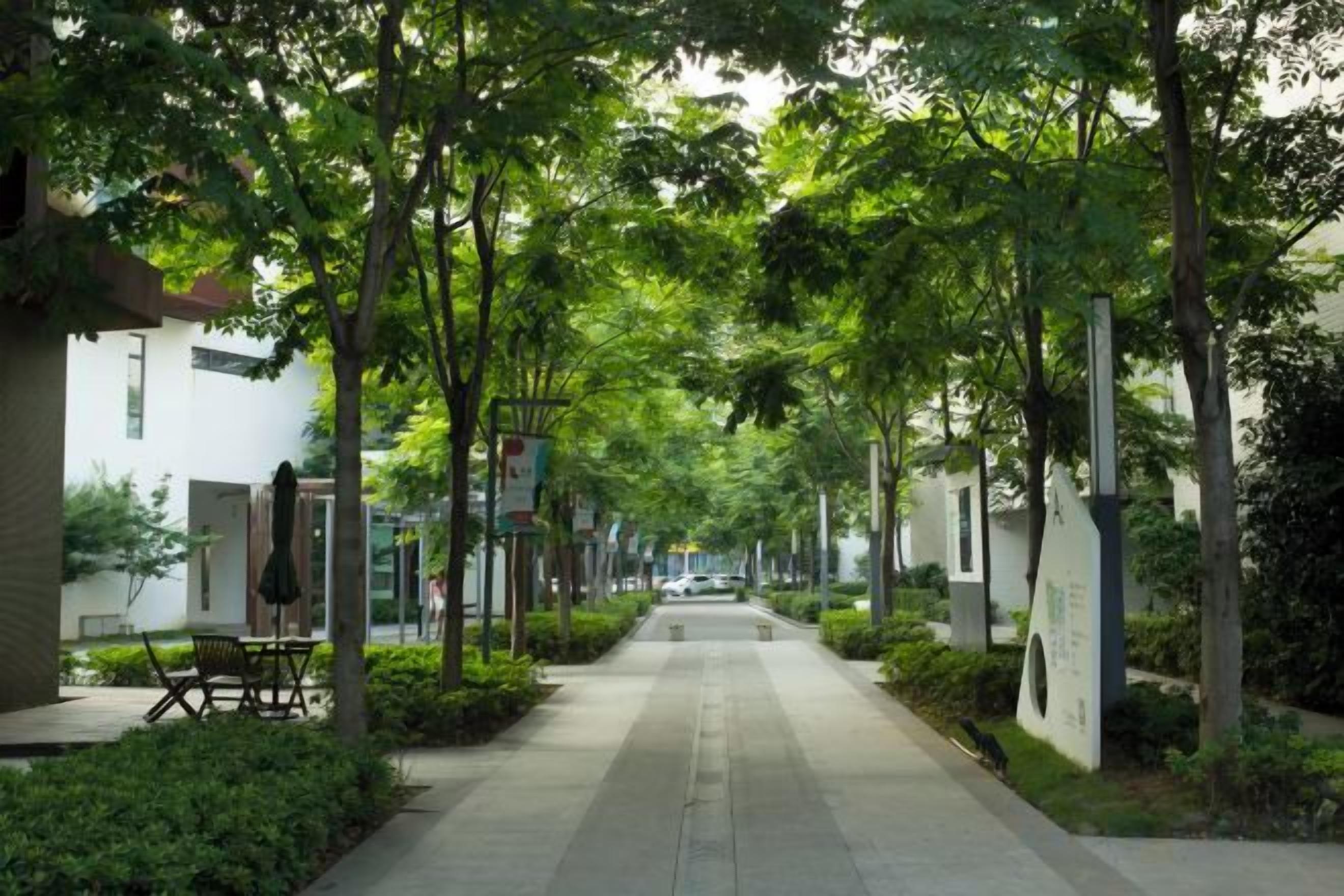 A tree-lined pathway with benches and a clear sky.