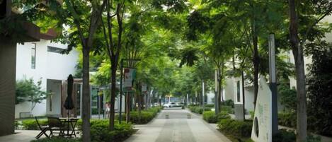 A tree-lined pathway with benches and a clear sky.