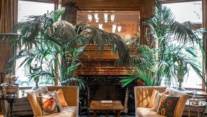 A lobby with a red carpet, two sofas with cushions, a large plant, and a fireplace. - The Ivy Hotel (Baltimore)