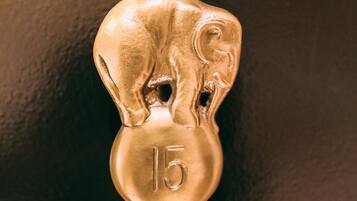 A brass door knocker with an elephant design and the number 15 engraved on it.