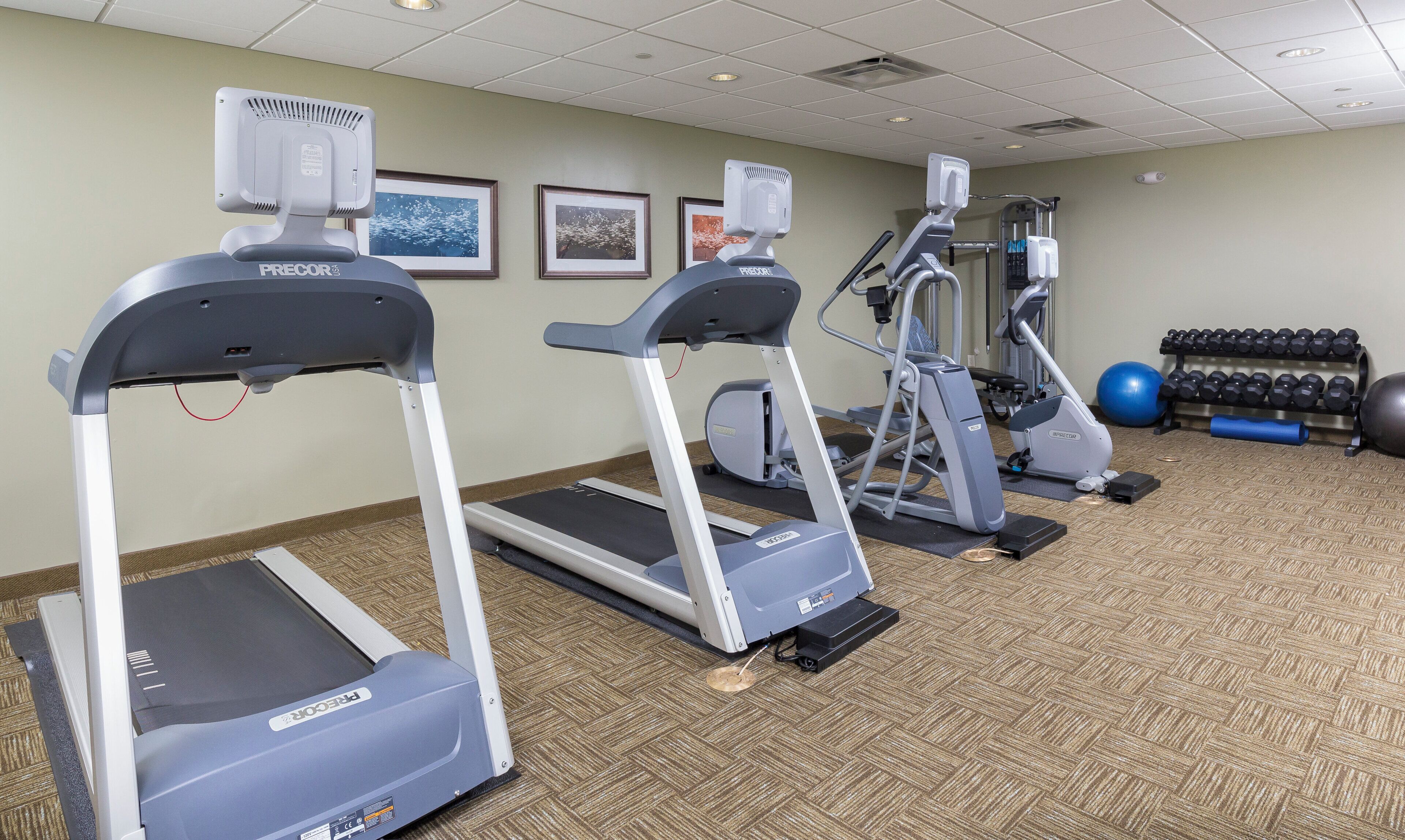 Une salle de sport équipée de tapis de course, d’un appareil elliptique et de poids libres.