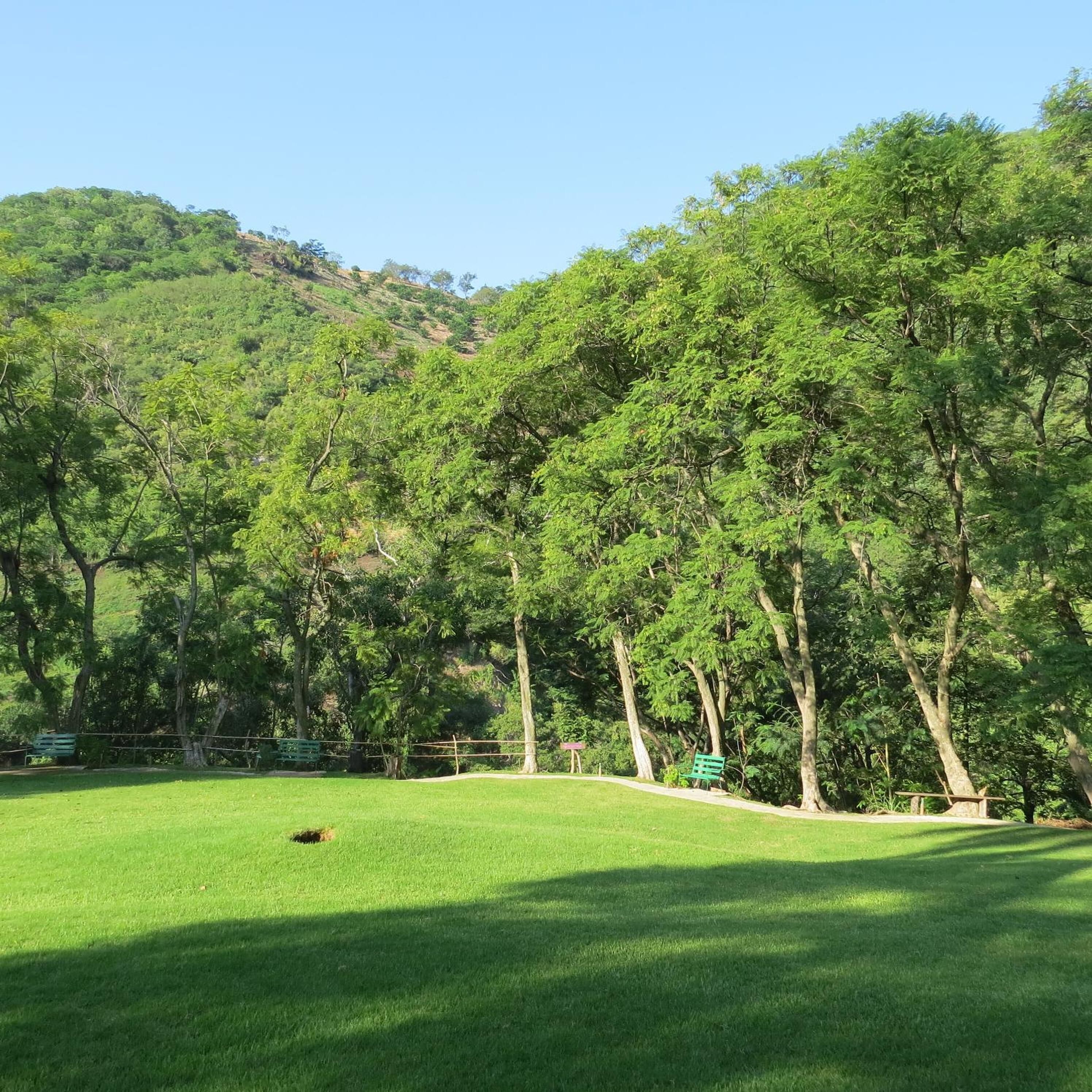 Un parque con césped, árboles y una colina al fondo.