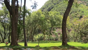 A serene pond with large rocks in the foreground, surrounded by lush greenery and trees. - Agua Blanca (Jungapeo)