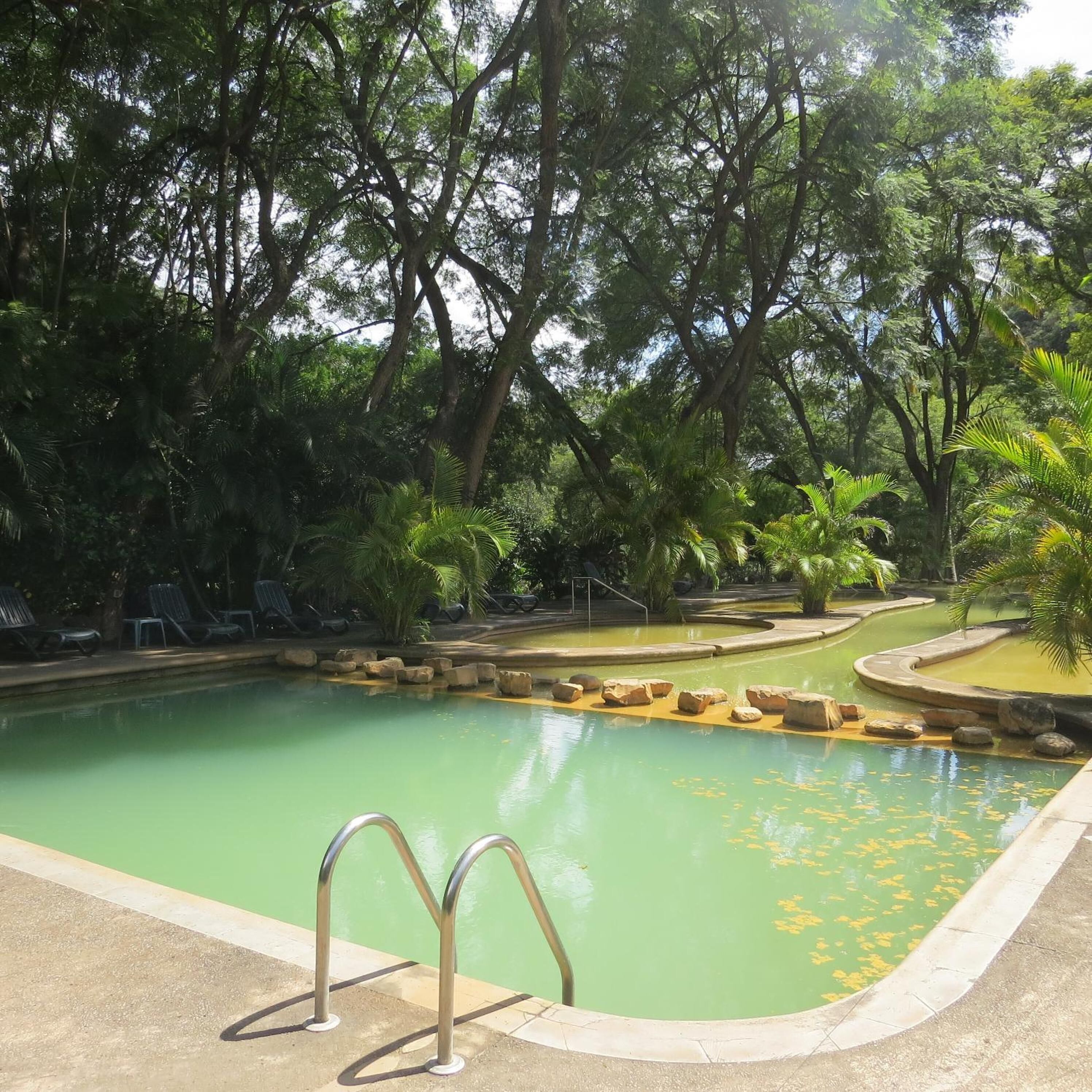 Una piscina de color verdoso, rodeada de árboles y plantas de palma, con un suelo de hormigón y escaleras metálicas.