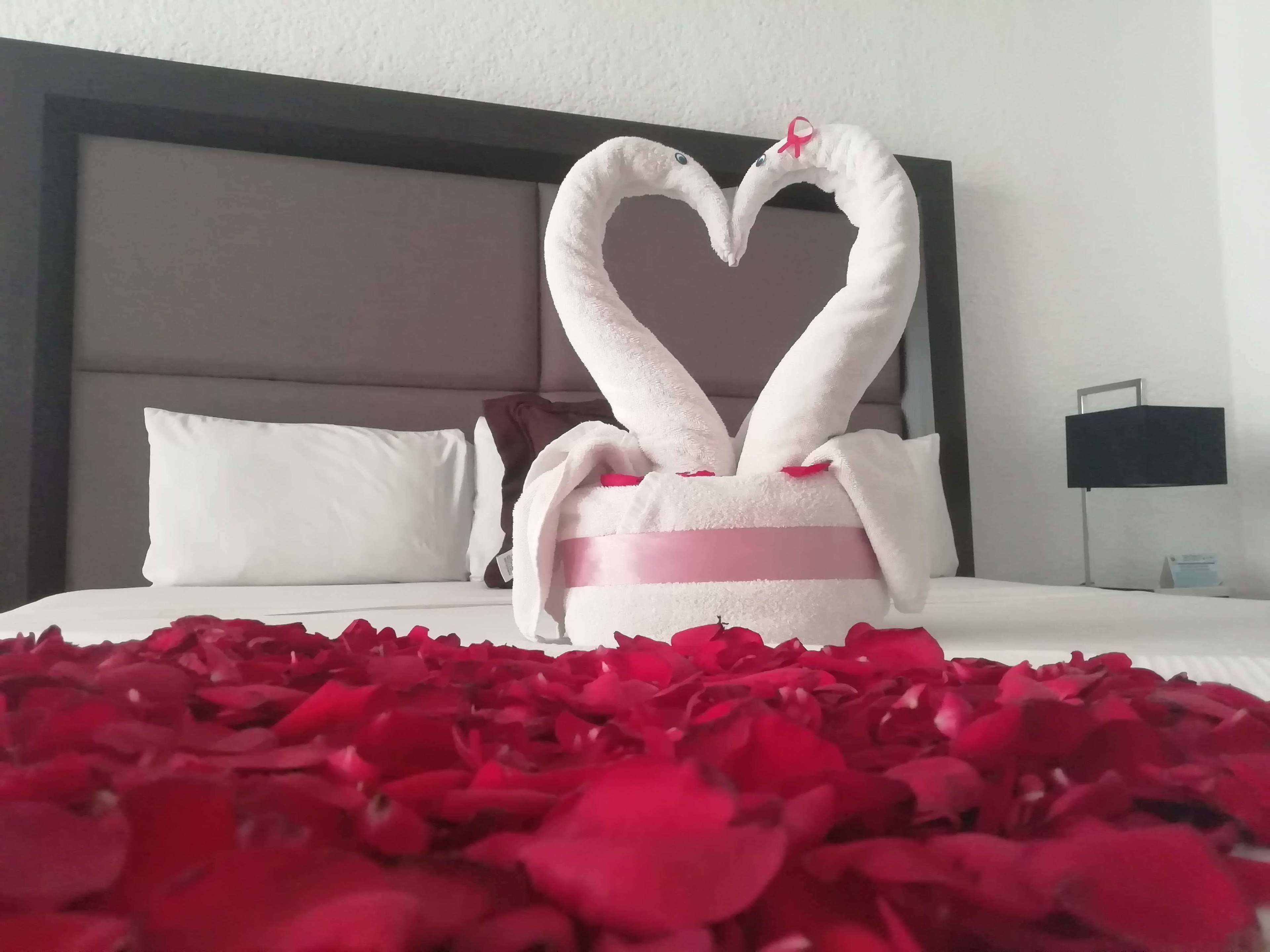 Foto - Hotel Green 16