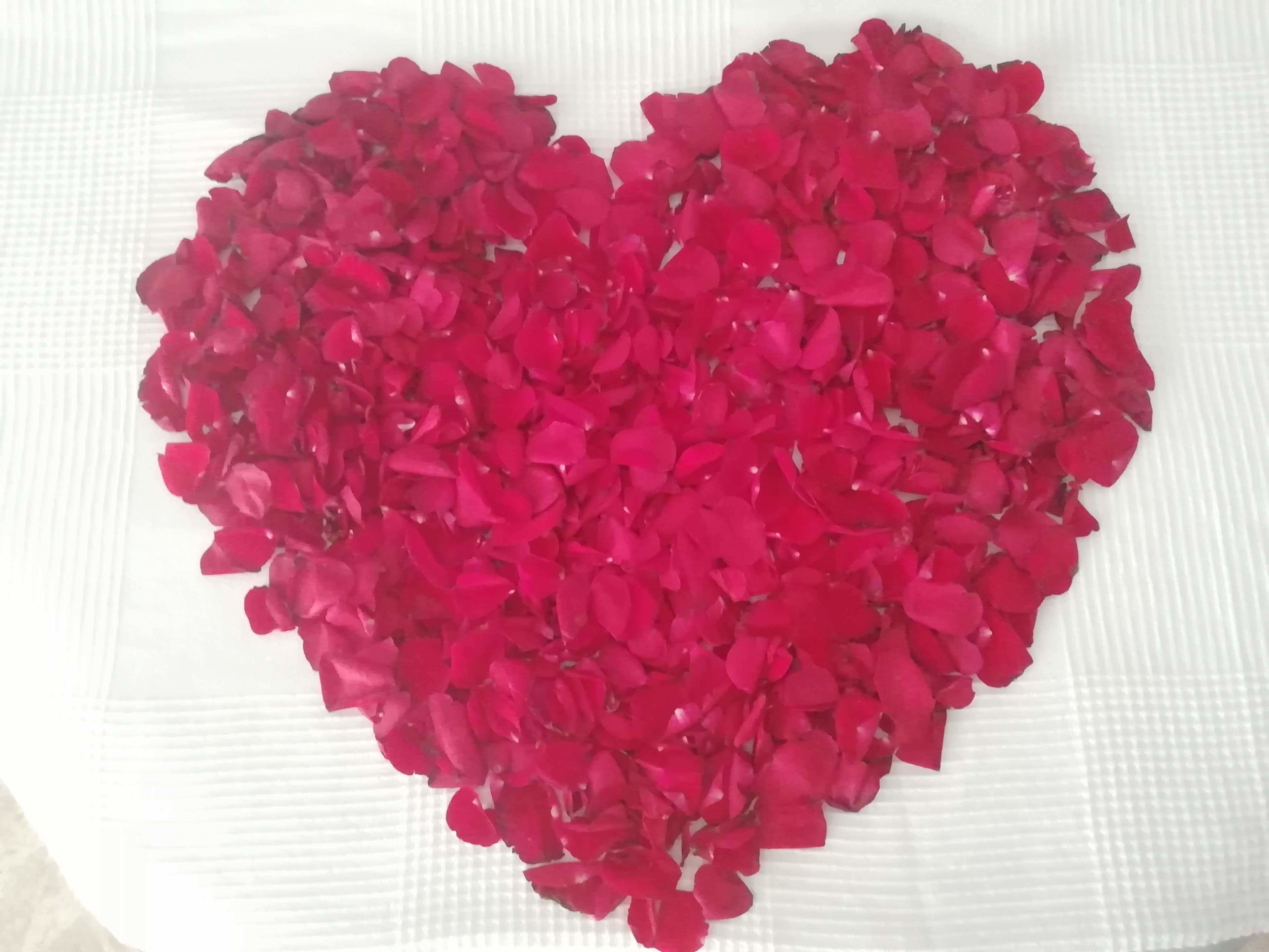 Foto - Hotel Green 16