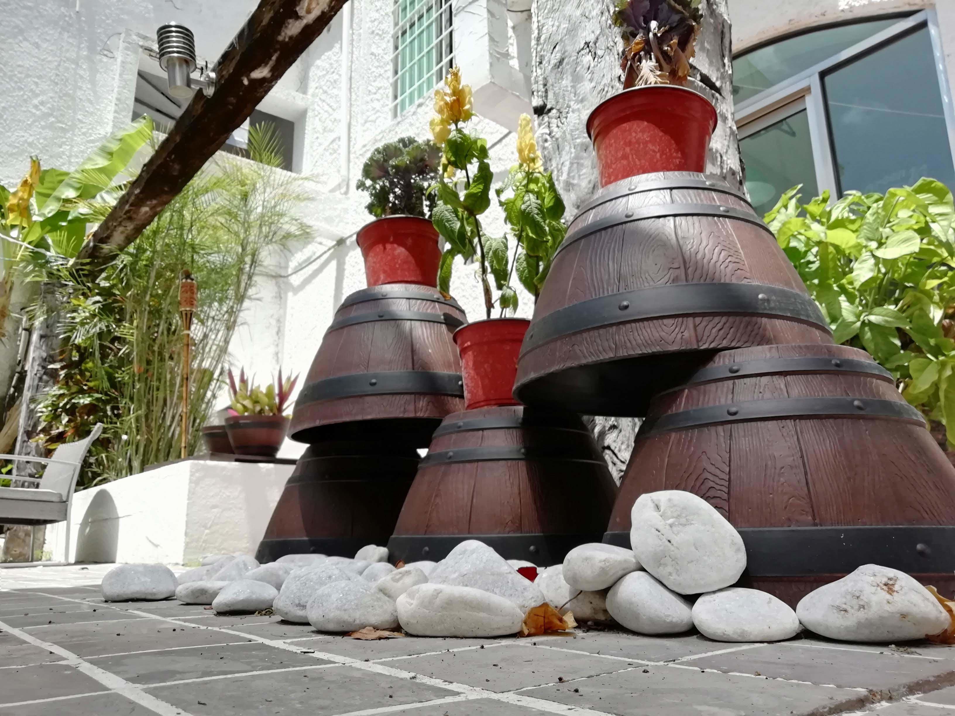 Foto - Hotel Green 16