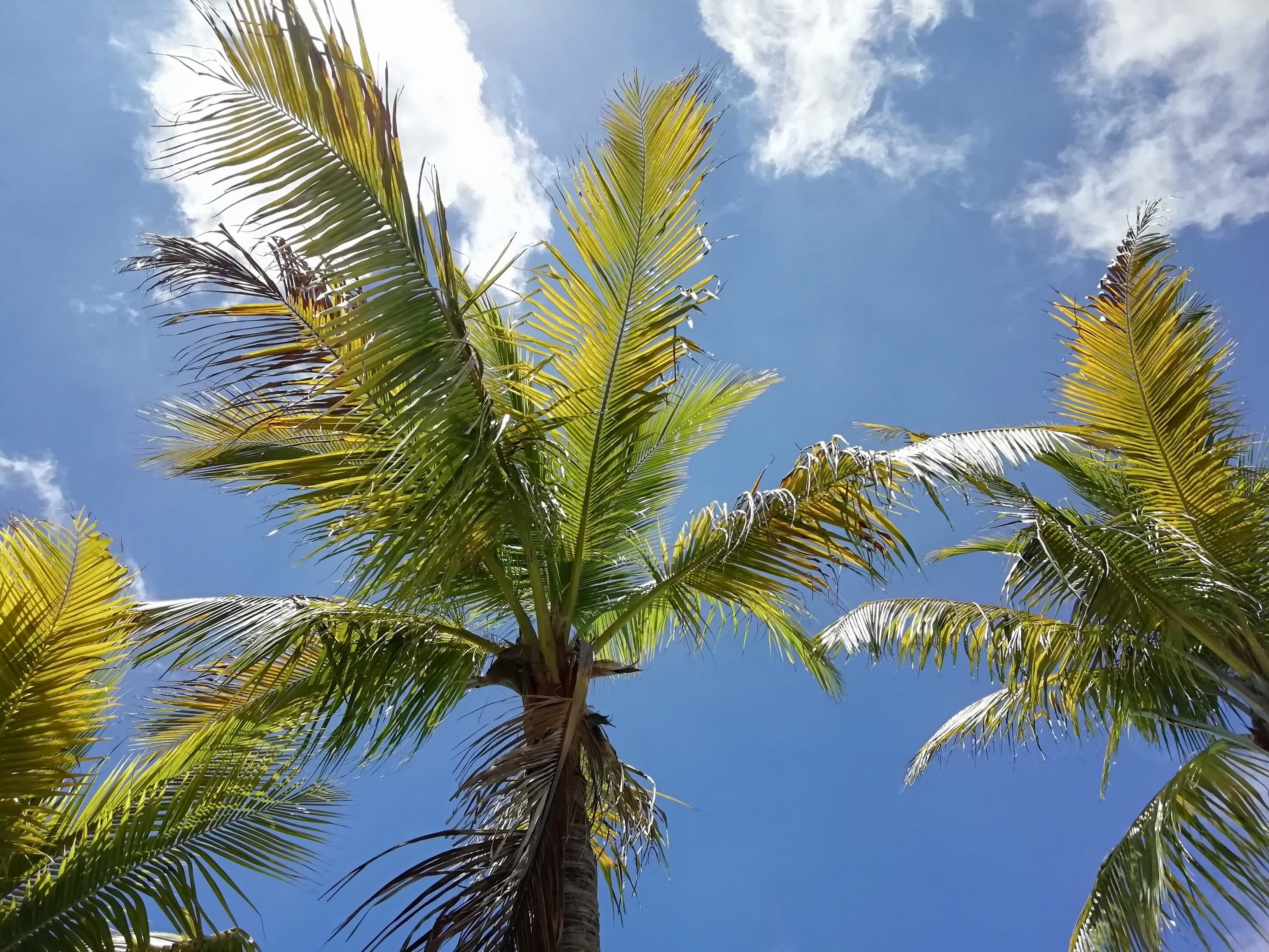 Foto - Hotel Green 16