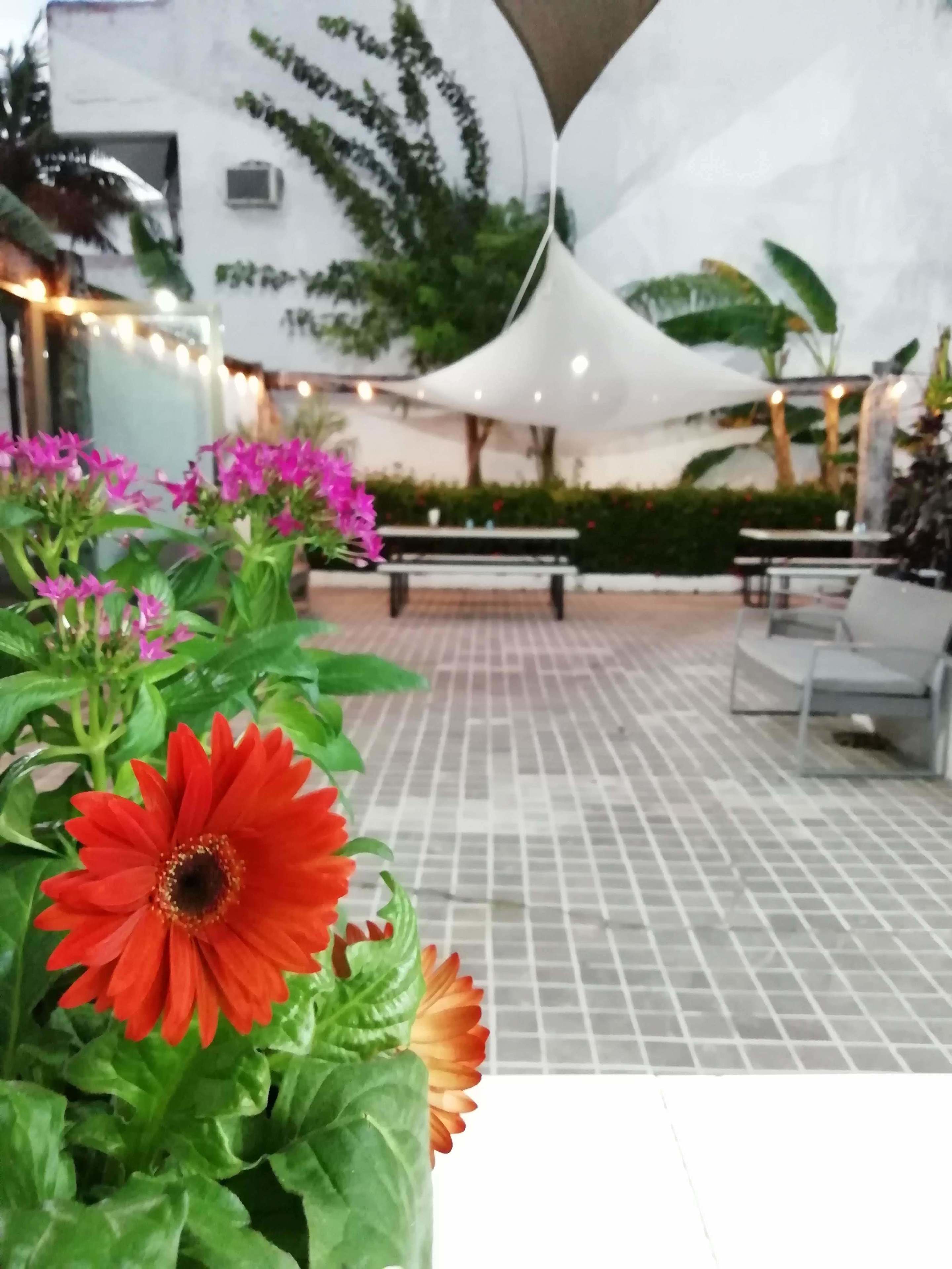 Foto - Hotel Green 16