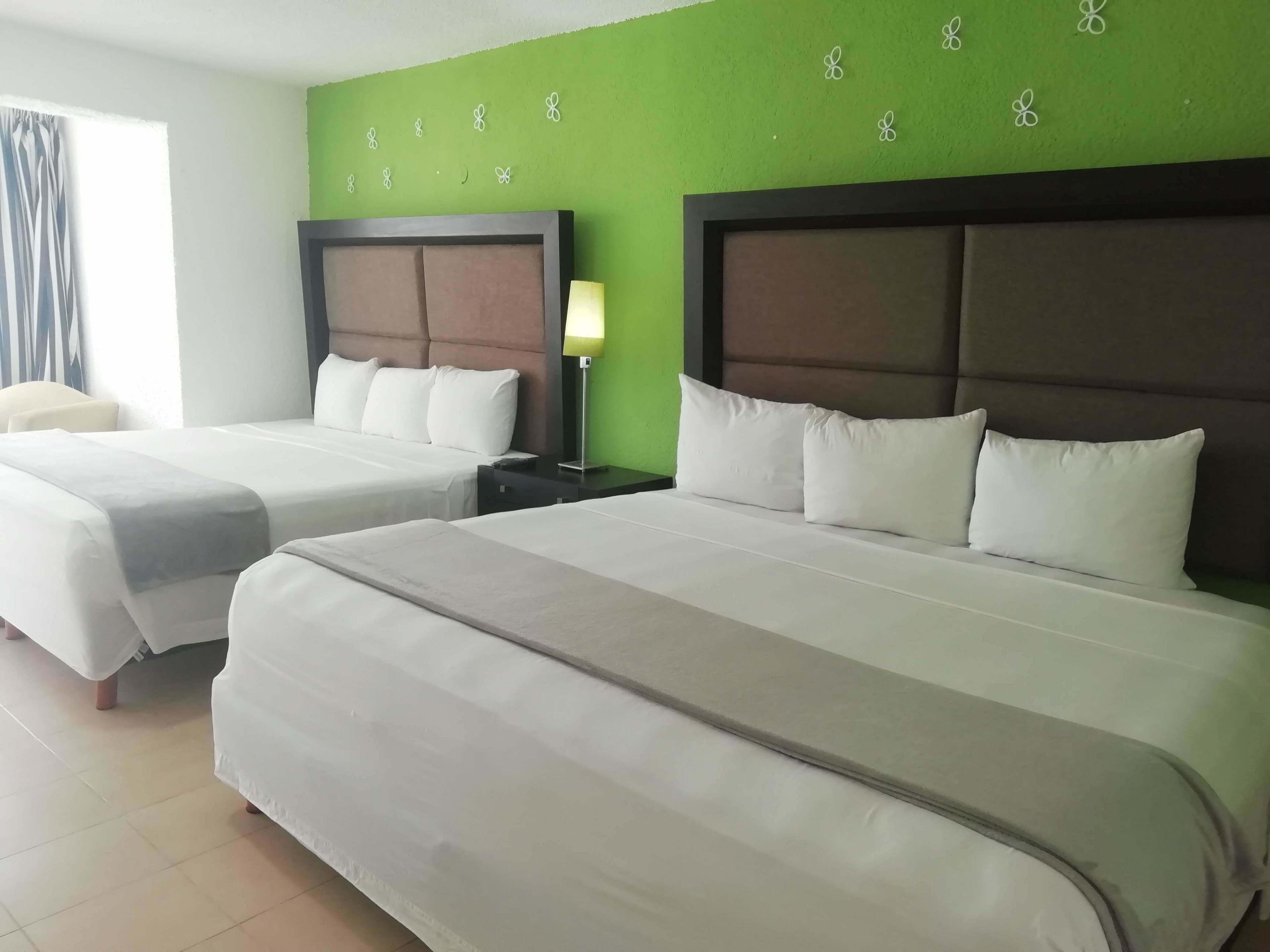 Foto - Hotel Green 16