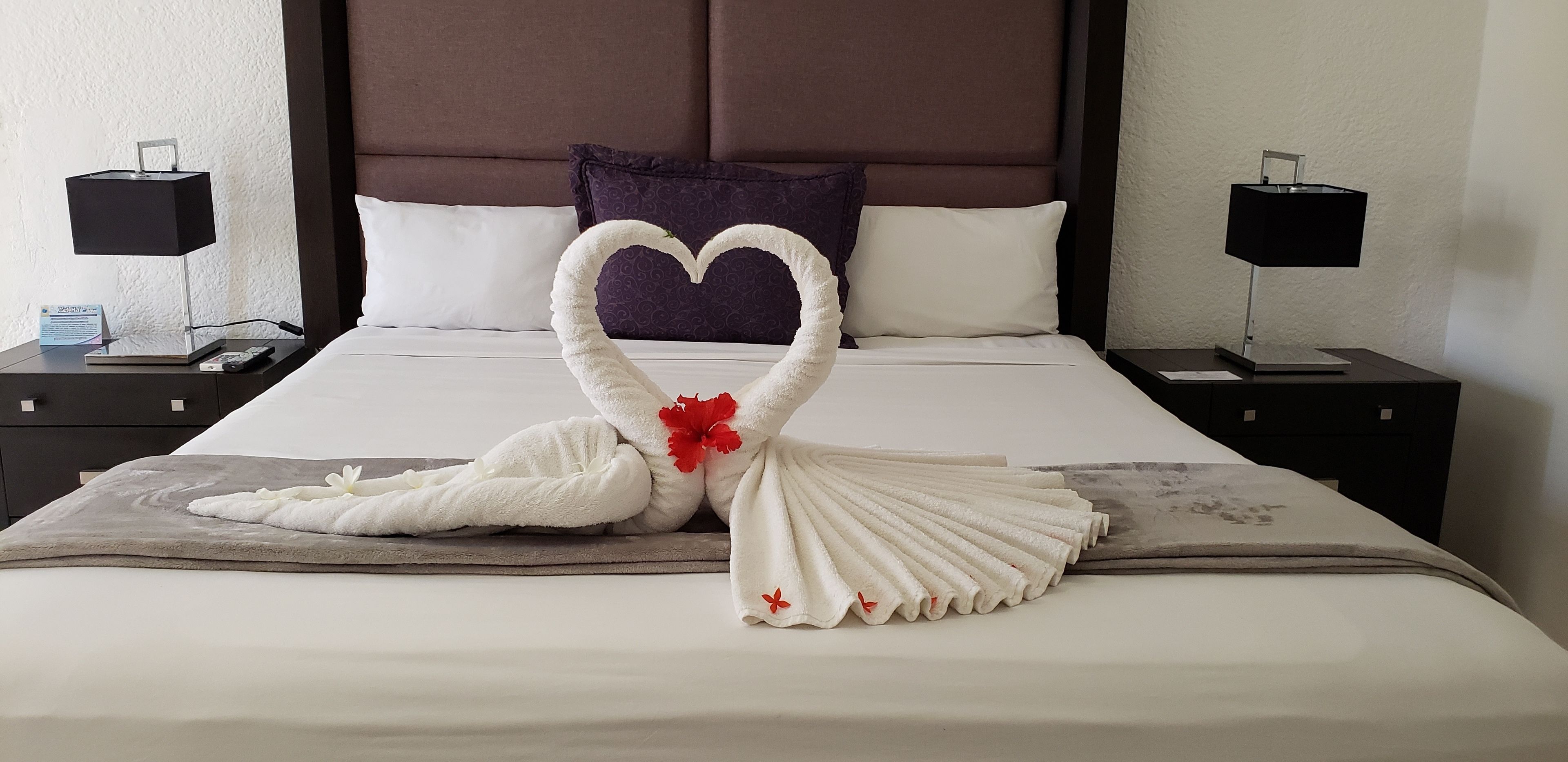 Foto - Hotel Green 16