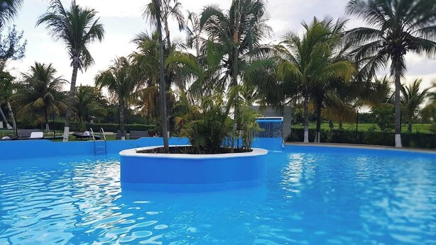 Una piscina con borde azul, rodeada de palmeras y un cielo despejado.