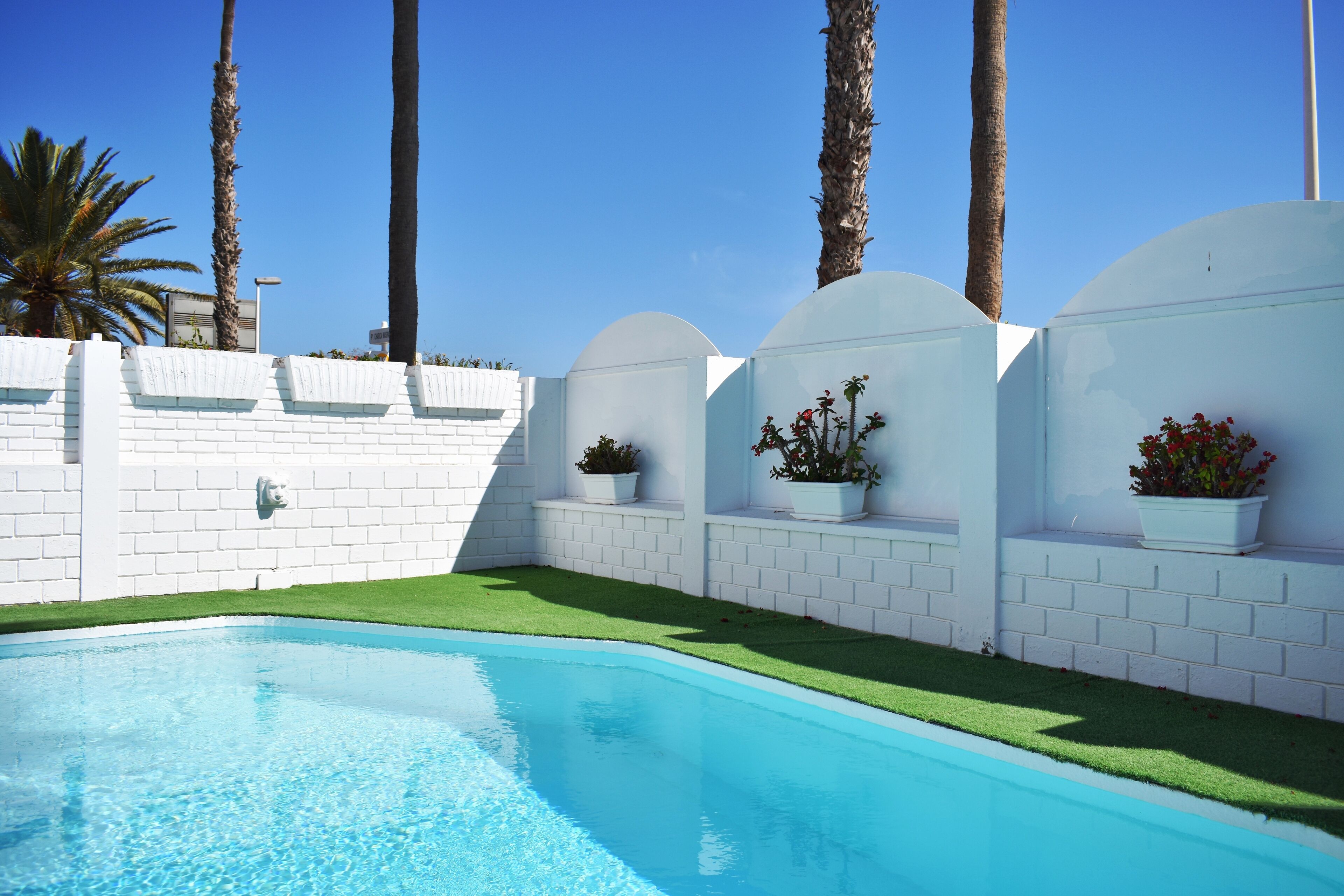 A swimming pool with white brick walls and green artificial grass, surrounded by palm trees and white planters with red flowers.