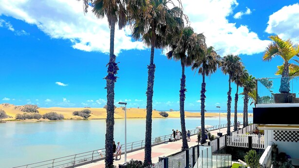 A balcony with a view of a calm lake, palm trees, and a distant desert landscape.