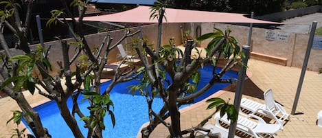Alberca al aire libre y camastros