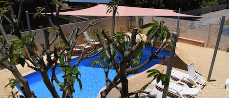 Outdoor pool, sun loungers