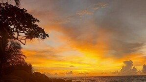 A beach with rocks and a palm tree at sunset. - The Mantra Hotel (Karon)