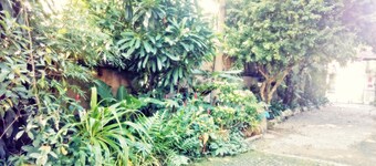 Baan Songjum Homestay