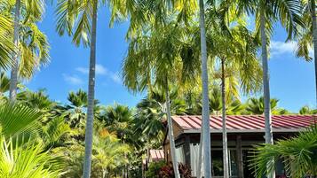 Feriehus - handicapvenligt | Haveudsigt